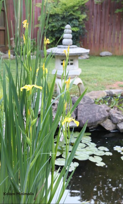 kolam minimalis • Jasa Pembuatan Taman dengan Tukang yang Profesional