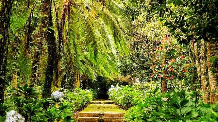 Desain Taman Kota Kreatif & Fungsional Dengan Banyak Manfaat 3 Taman Kota Arboretum