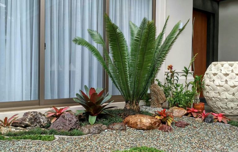 taman kering outdoor