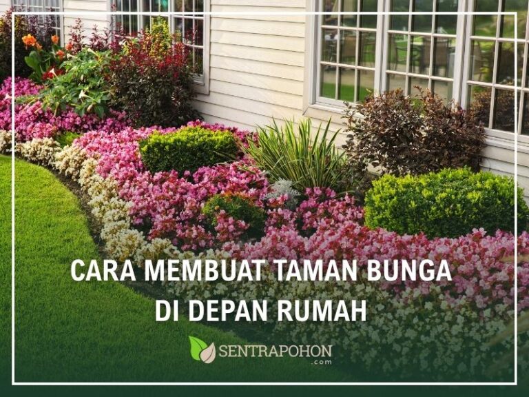Cara Membuat Taman Bunga di Depan Rumah