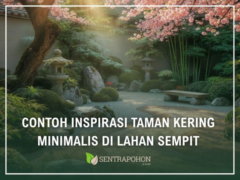 Contoh Inspirasi Taman Kering Minimalis di Lahan Sempit