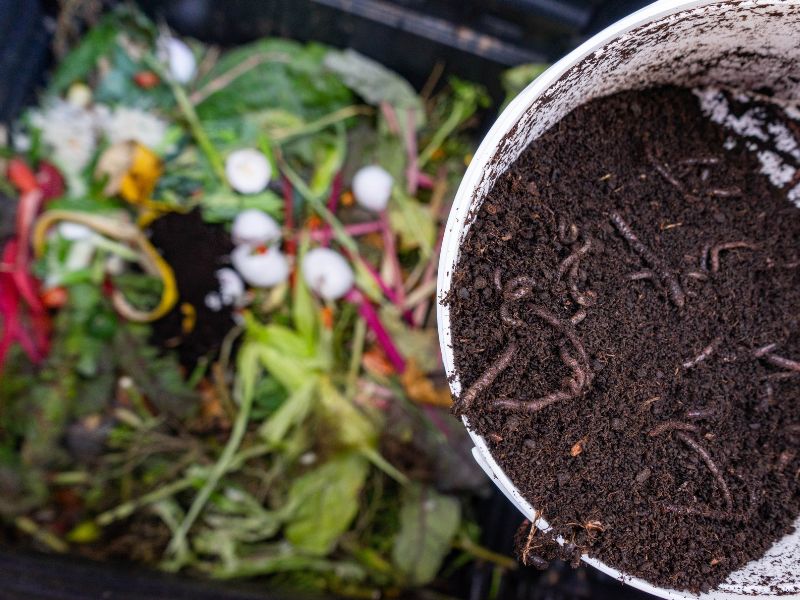 apa saja pupuk organik