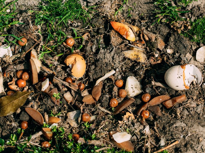 sebutkan macam macam pupuk organik