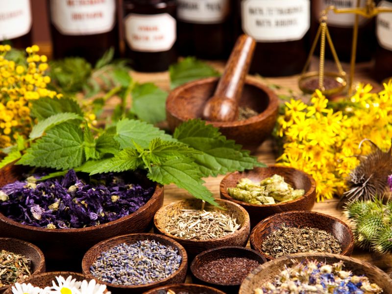 tanaman obat keluarga