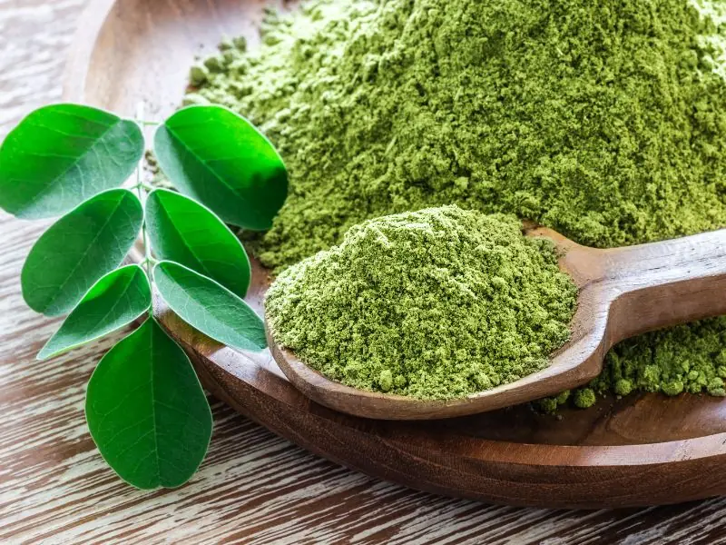 manfaat daun kelor untuk kecantikan &bull; Manfaat Daun Kelor untuk Kecantikan Wajah dan Kulit