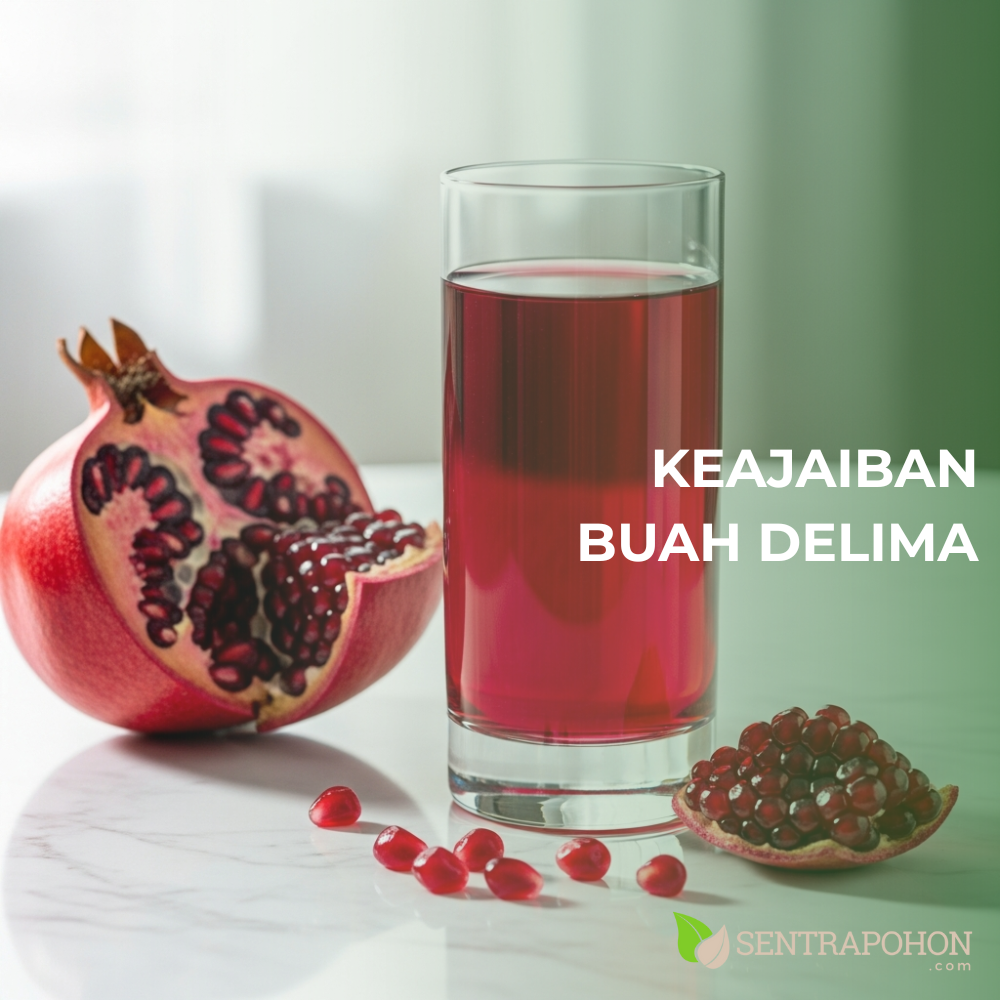 DELIMA 2 &bull; 10 Manfaat Buah Delima untuk Kesehatan & Kecantikan