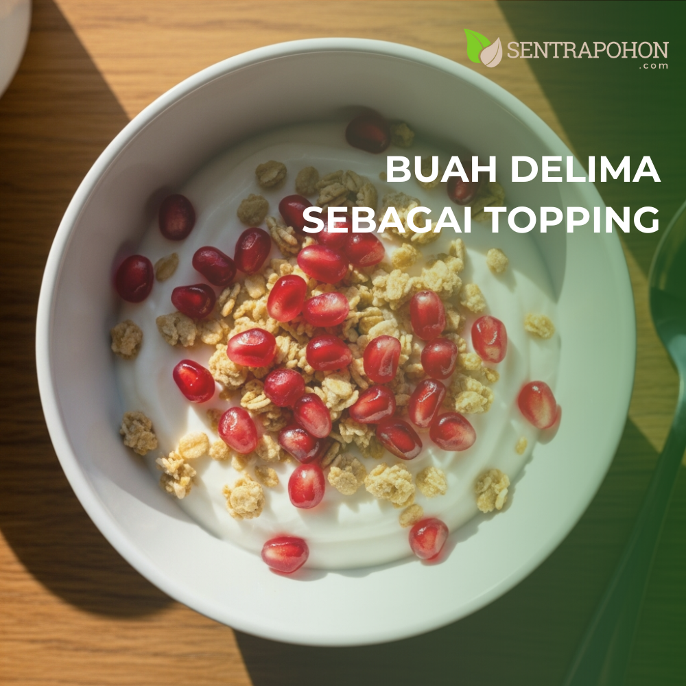 DELIMA 3 &bull; 10 Manfaat Buah Delima untuk Kesehatan & Kecantikan